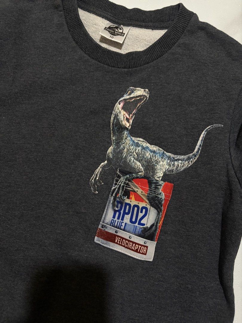 Dino Jurassic Sweatshirt (Category: Babies & Kids Fashion) located in San Isidro. Submitted by motherthrifter_moon (Listing ID 1468808036, Image 3). Description: Brand new condition 10/10 No damage No issue For 4-7 yrs old Pogi nyn sa personal.