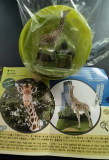 (Category: ) located in . Submitted by toybus81 (Listing ID 1468838817, Image 1). Description: .