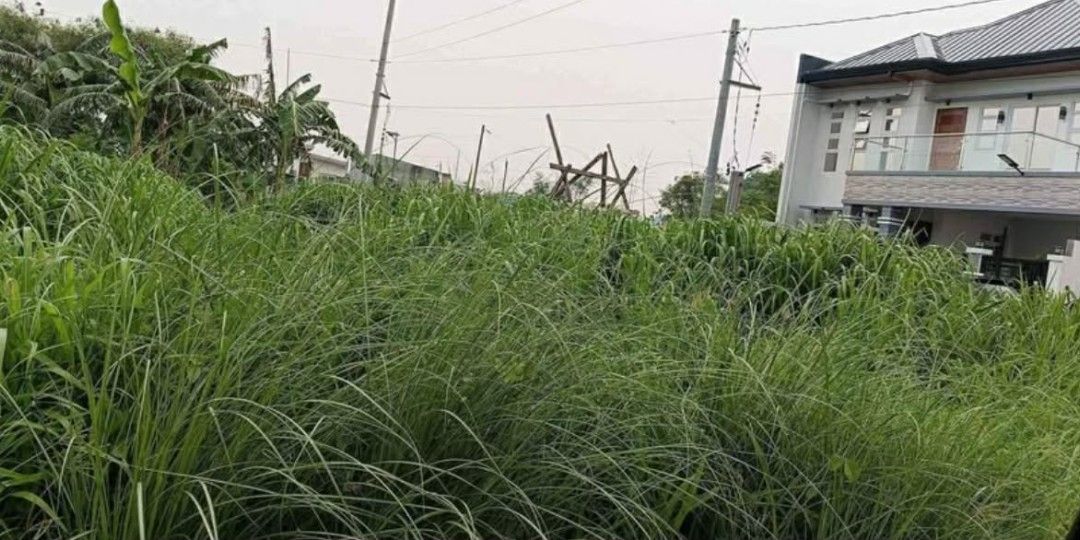 Meadowood Executive Village Bacoor (Category: Announcements) located in Cavite. Submitted by haileyetc. (Listing ID 1468842172, Image 3). Description: for sale lot only corner lot 222 sq meters meadowood executive village bacoor phase 3 B.
