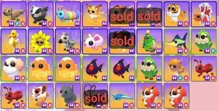 (Category: ) located in . Submitted by myfera (Listing ID 1468144038, Image 1). Description: .