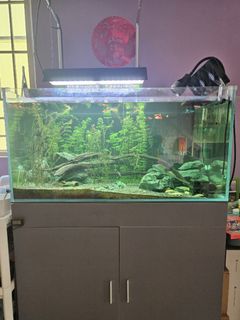 (Category: ) located in . Submitted by vanco23 (Listing ID 1467497643, Image 1). Description: .