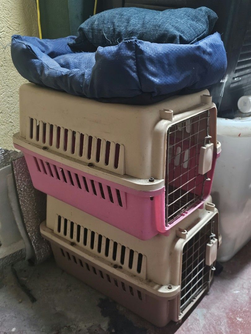 pet carriers (Category: Homes & Other Pet Accessories) located in Caloocan City. Submitted by hy4mii (Listing ID 1468921736, Image 2). Description: for sale | wts lfb for small pets .ᐟ take all for 700 php — sold as bundle only — 2 pet carrier travel cage (small) — pet carrier front backpack (small) — pet travel tote bag (small) — washable pet bed — slow feeder 📍: caloocan city mod: sdd | meet-up | can do door-to-door delivery depending on your 