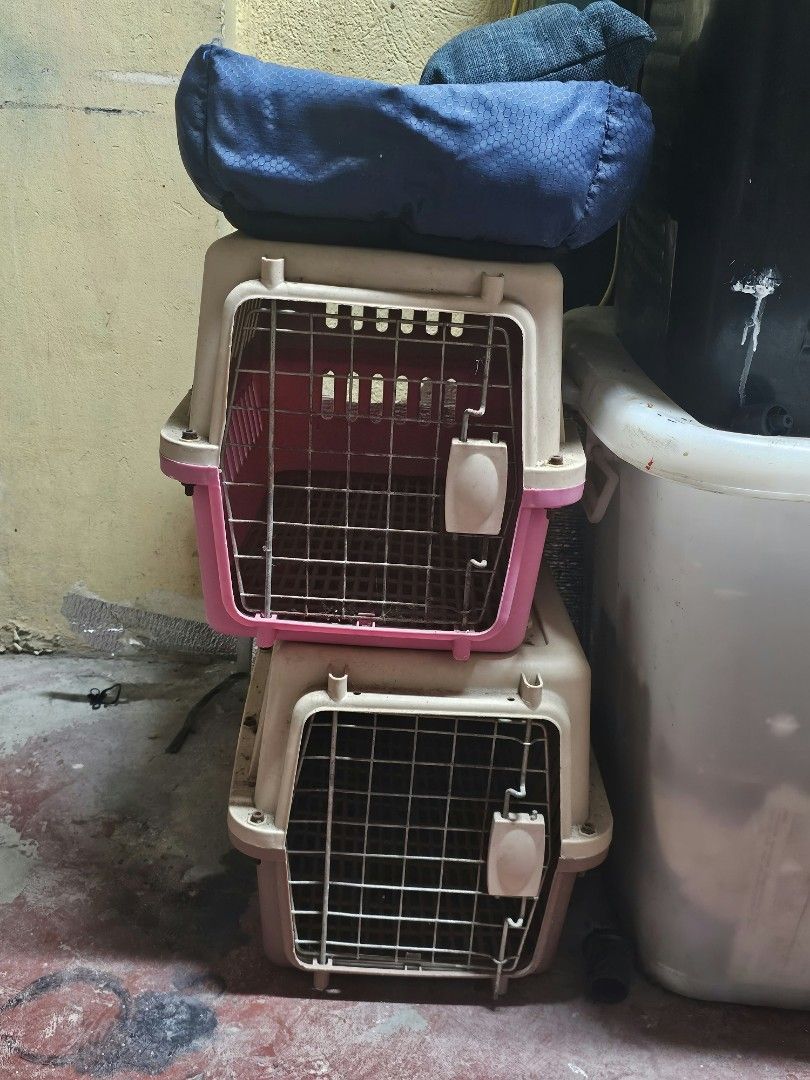 pet carriers (Category: Homes & Other Pet Accessories) located in Caloocan City. Submitted by hy4mii (Listing ID 1468921736, Image 1). Description: for sale | wts lfb for small pets .ᐟ take all for 700 php — sold as bundle only — 2 pet carrier travel cage (small) — pet carrier front backpack (small) — pet travel tote bag (small) — washable pet bed — slow feeder 📍: caloocan city mod: sdd | meet-up | can do door-to-door delivery depending on your 