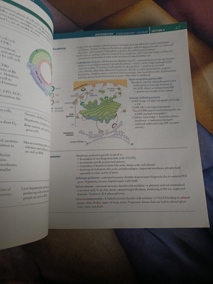 USMLE Step 1 original book (Category: Textbooks) located in Valenzuela. Submitted by eydriyan06MD (Listing ID 1468746106, Image 2). Description: 3 chapters with highlights Original book not reprinted Negotiable for sure buyers.