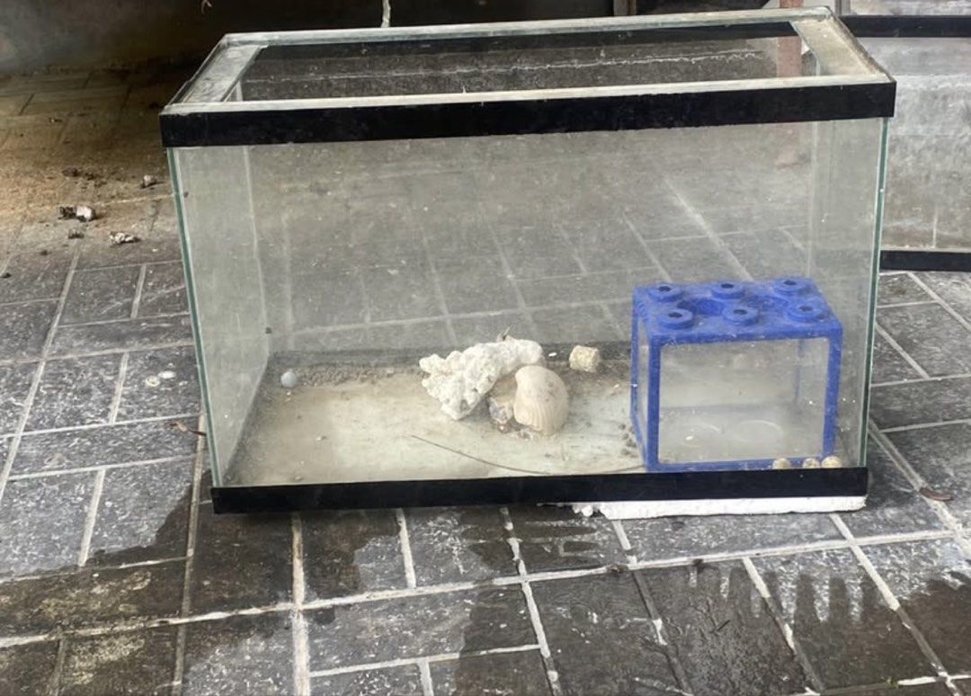 2 fish tank (Category: Fishing) located in Manila. Submitted by dwayne_csmr (Listing ID 1469132342, Image 2). Description: 2 fish tank but different size and natambak na lang tinamad na mag alaga ng isda.