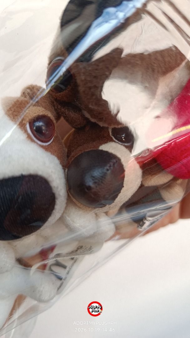 [5] THE DOG Artlist Collection Mini Plush Bundle (Category: Plushies & Soft Toys) located in Taguig. Submitted by adopt.my.plush.ph (Listing ID 1468989205, Image 3). Description: ‼️Last Price (LP) Posted. Fixed. Non-negotiable. *as is, WYSIWYG ‼️Photos have been uploaded for your reference. Kindly make sure to review them ALL before sending your inquiries. 𝄃𝄃𝄂𝄂𝄀𝄁𝄃𝄂𝄂𝄃 .