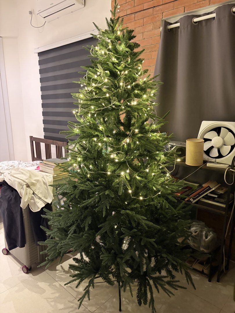 6ft PE+PVC tip Christmas Tree (Category: Other Home Decor) located in Caloocan City. Submitted by aclamost3 (Listing ID 1469082546, Image 2). Description: -beautiful christmas tree and lights, no damage at all -RFS: too big for place -Just bought last September from tiktok shop -With original box -Sturdy, 4 legged stand -slightly negotiable for sure buyers -can only do pickups on weekends.