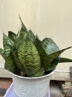 （分類：）位於 。 由 hiiris007 提交（商品編號 1468980412，圖片 1）。簡介： 。