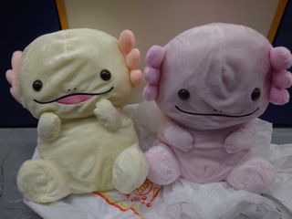 （分類：）位於 。 由 cheungcw0 提交（商品編號 1468937066，圖片 1）。簡介： 。