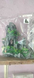 (Category: ) located in . Submitted by annjohnstar (Listing ID 1468966604, Image 1). Description: .