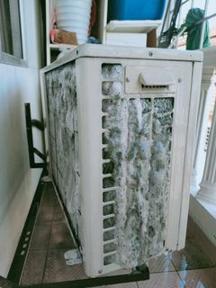 (Category: ) located in . Submitted by springdecor8-08186 (Listing ID 1468932647, Image 1). Description: .
