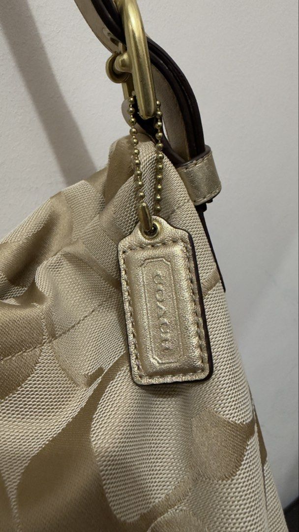 Coach Carly Hobo Bag (Category: Luxury Bags & Wallets) located in Manila. Submitted by coffeepanda1234 (Listing ID 1469090375, Image 3). Description: Sign of use only.