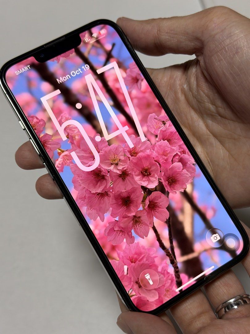 Iphone 13 Pro (Category: iPhone 13 Series) located in Dingalan. Submitted by grazellll (Listing ID 1469030284, Image 1). Description: Lady owned With minimal hairline scratches No dents With phone case since day 1 Battery health 86% No major repairs Open line With box and charger included RFS: Spare fone.