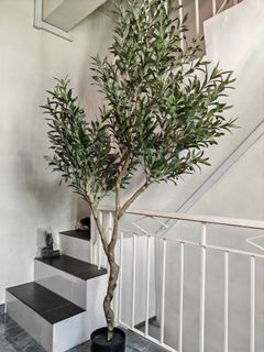 （分類：）位於 。 由 mrtifa 提交（商品編號 1468958344，圖片 1）。簡介： 。