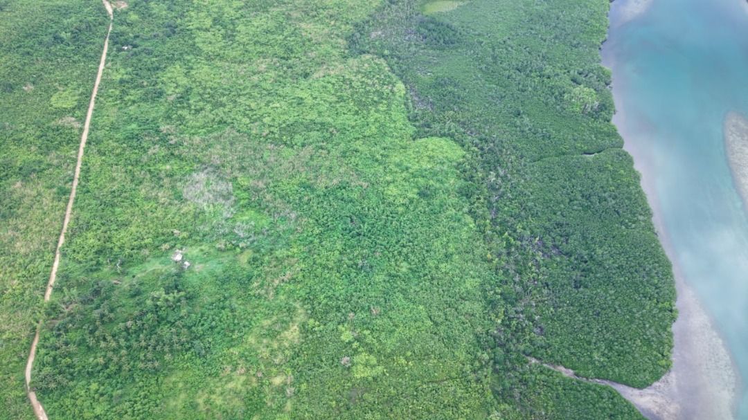 Lot For Sale - Palawan (Category: Lot) located in Bacoor. Submitted by davenchi (Listing ID 1232681605, Image 1). Description: 24 hectares (can cut no less than 21 has.) Price: Php1000/sqm - Negotiable Road side - woodland/timberland Beach Front (parts with mangroves) Permit from DENR to cut down mangroves if needed. (new seedlings already planted as replacement) Near Cesar Lim Rodriguez Airport (formerly Taytay-Sandoval Airport) Updated Tax Decl
