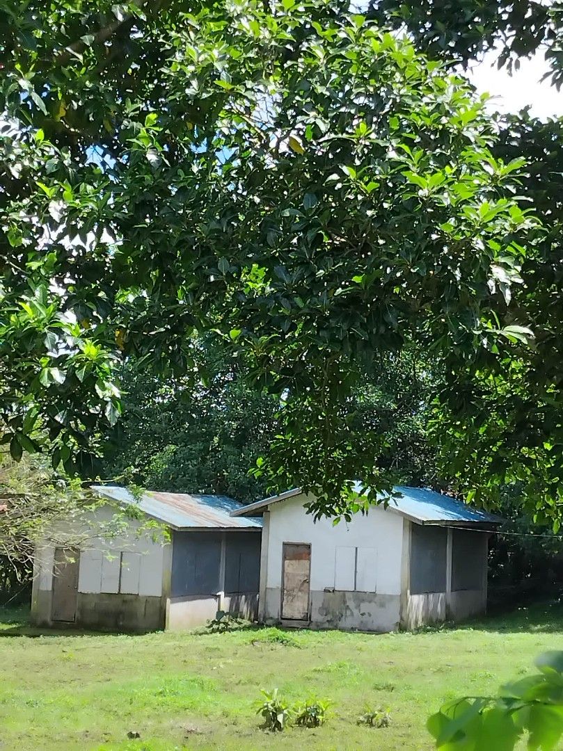 Lot for Sale Alfonso Cavite (Category: Lot) located in Pasig City. Submitted by bryananton (Listing ID 1462440913, Image 1). Description: Lot For Sale in Alfonso, Cavite infront of Sonya's Garden...4,000 square meters @ PHP13,000..