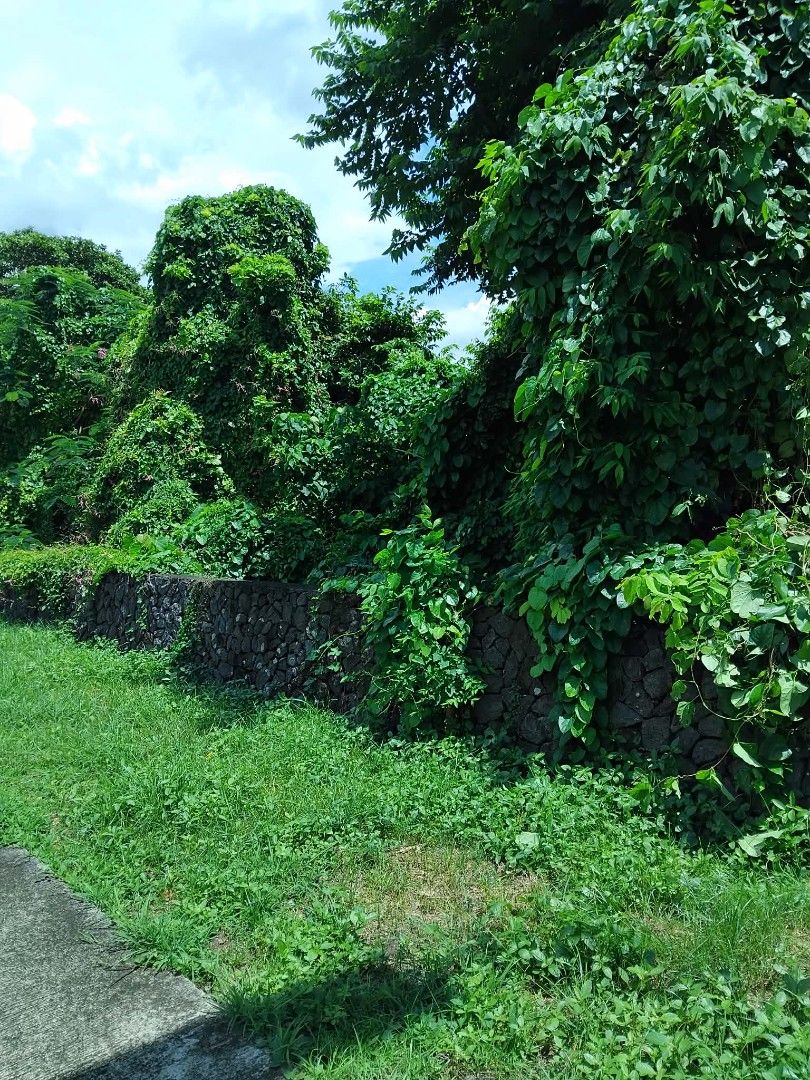 Lot for Sale Tali Beach (Category: Lot) located in Pasig City. Submitted by bryananton (Listing ID 1462443210, Image 3). Description: Lot for sale 1491 lot area 21,000 per square meter.