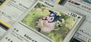 Pokedex 收藏品 2