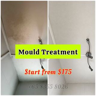 MOULD Treatment  收藏品 1