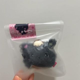 NCT Wish Steady Keyring Album Riku Version, Toys & Collectibles, Fan ...