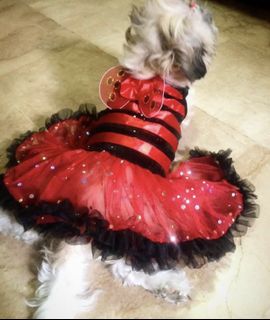 (Category: ) located in . Submitted by yunah08 (Listing ID 1469077370, Image 1). Description: .