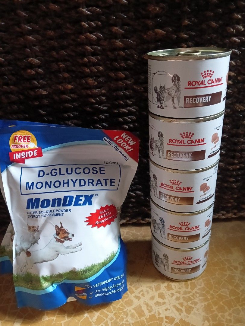 Royal Canin Recovery 195 grms (Category: Pet Food) located in Rizal. Submitted by timeless_shop (Listing ID 1468942658, Image 1). Description: 🔥 ROYAL CANIN RECOVERY 195g x 5 cans + MonDEX 340g ✨ 📦 5 cans Royal Canin Recovery RS 195g - Total 975g 📦 1 pack MonDEX D-Glucose Monohydrate 340g - FREE Scooper Inside 📅 Expiry: 20 08 2027 - Matagal pa! 💯 Condition: 10/10 Sealed Brand New 📍 Location: Rizal 💳 Payment First: GCash / BPI 📦 Courier: J