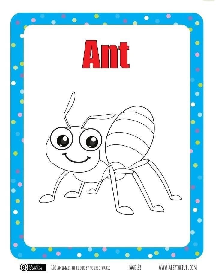 100 Animals to Color (Category: Laptops & Notebooks) located in Cabuyao City. Submitted by merih1990 (Listing ID 1465408475, Image 2). Description: 🎨🐾 100 ANIMALS TO COLOR — FOR ONLY ₱29! 🐶🦁 Looking for a fun and creative activity for your little ones? 🥰 Let your kids enjoy coloring 100 adorable animals! Perfect for bonding time, school activities, and screen-free fun. 🖍️💕 📥 Digital PDF — download and print! 💖 Introductory promo: ₱29 ONL