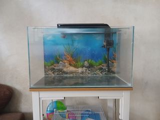 (Category: ) located in . Submitted by jerickjavier (Listing ID 1465480358, Image 1). Description: .