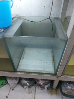 (Category: ) located in . Submitted by sandywon (Listing ID 1465412134, Image 1). Description: .