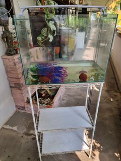 (Category: ) located in . Submitted by petstyle888 (Listing ID 1465531593, Image 1). Description: .