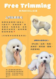 （分類：）位於 。 由 nottodayy 提交（商品編號 1465470963，圖片 1）。簡介： 。