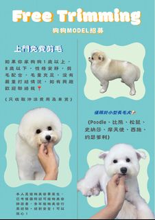 （分類：）位於 。 由 nottodayy 提交（商品編號 1465471437，圖片 1）。簡介： 。