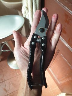 (Category: ) located in . Submitted by sengkang-ranggung (Listing ID 1465390751, Image 1). Description: .