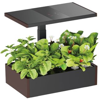 （分類：）位於 。 由 cinnrolltreacome 提交（商品編號 1465468585，圖片 1）。簡介： 。