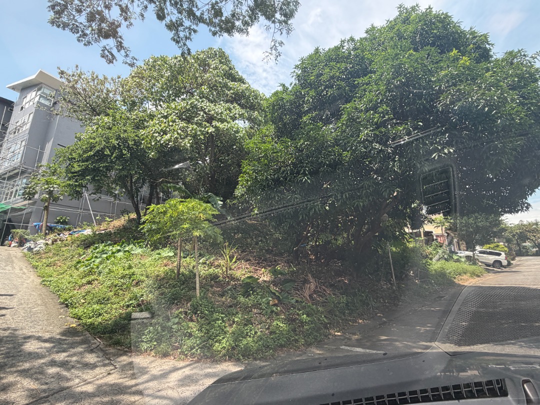 (Category: ) located in . Submitted by brokerhanstaneo_09178038728 (Listing ID 1465395564, Image 1). Description: .