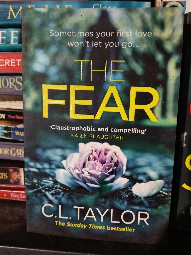 CL TAYLOR -THRILLER SUSPENSE (Category: Storybooks) located in Luna. Submitted by bookmine (Listing ID 1465504890, Image 2). Description: 150 each.
