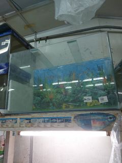 (Category: ) located in . Submitted by sandywon (Listing ID 1465437177, Image 1). Description: .