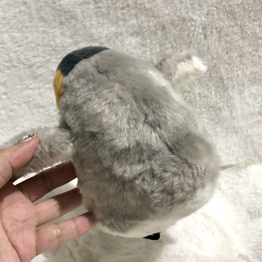 Cute Penguin Plush (Category: Plushies & Soft Toys) located in Quezon City. Submitted by kitsune.treasures (Listing ID 1465496318, Image 3). Description: *First to pay policy! *1 day reservation only. Failure to pay on time, auto cancel. 📍Quezon City * MOD: J&T | Lalamove * MOP: GCASH | BPI 📦ON HAND AND READY TO SHIP! CONDITION: WHAT YOU SEE IS WHAT YOU GET. Dimensions: Kindly check the photos for the actual measurements. Please check all the p