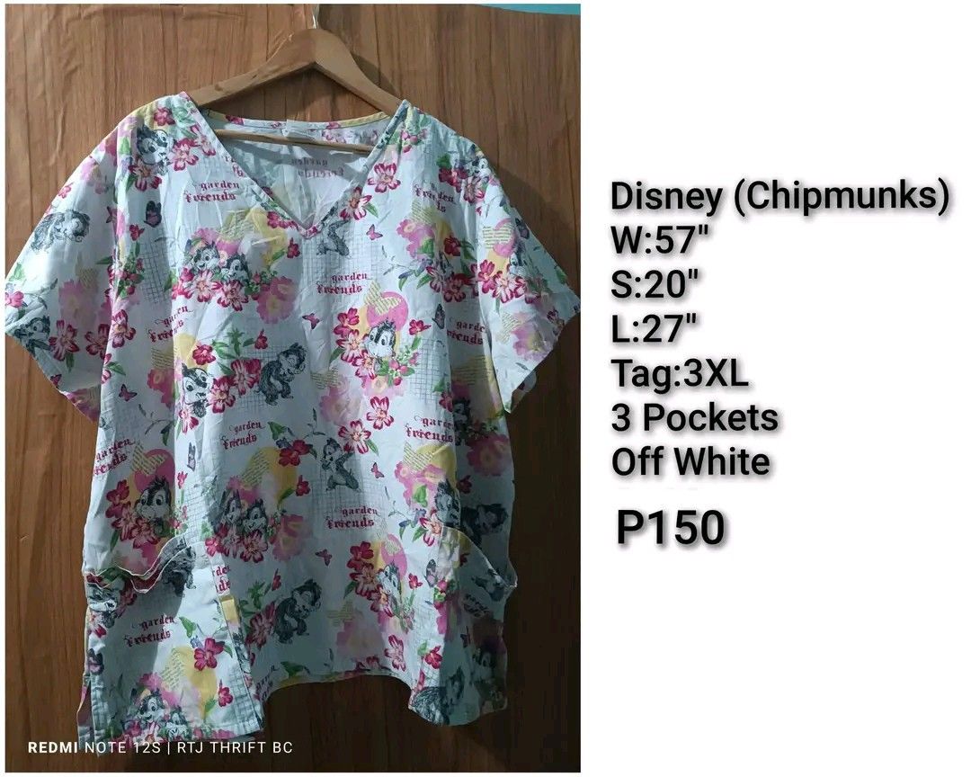 Disney (Chipmunks) Plus Size Top Only (3XL on Tag) (Category: Others Tops) located in Baguio. Submitted by ogiesiomai23 (Listing ID 1465487457, Image 1). Description: Details and Measurements on the first photo. Excellent Used Condition, Like New to Good as New Last Price: P150 + SF.