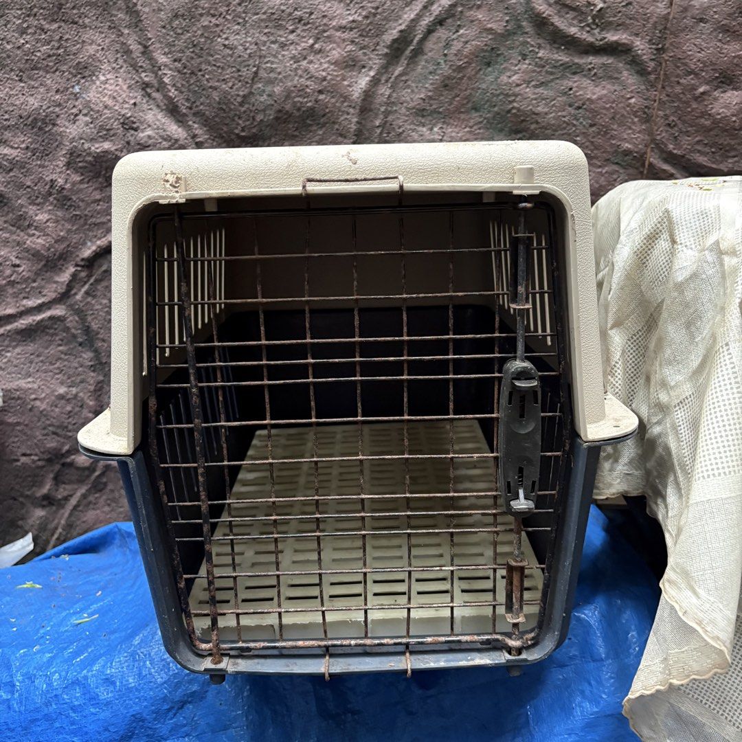 Dog and cat travel cage (Category: Homes & Other Pet Accessories) located in Manila. Submitted by angely12 (Listing ID 1465404365, Image 1). Description: Plastic matting ALL PHOTOS POSTED Item is PRE-OWNED expect it comes with defects / signs of usage as commonly seen in secondhand goods which may NOT be mentioned in the description or taken in the photos. Color on listing may differ from actual item due to lighting and purpose of showcasing the 