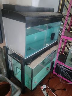 (Category: ) located in . Submitted by wanj3994 (Listing ID 1465545566, Image 1). Description: .
