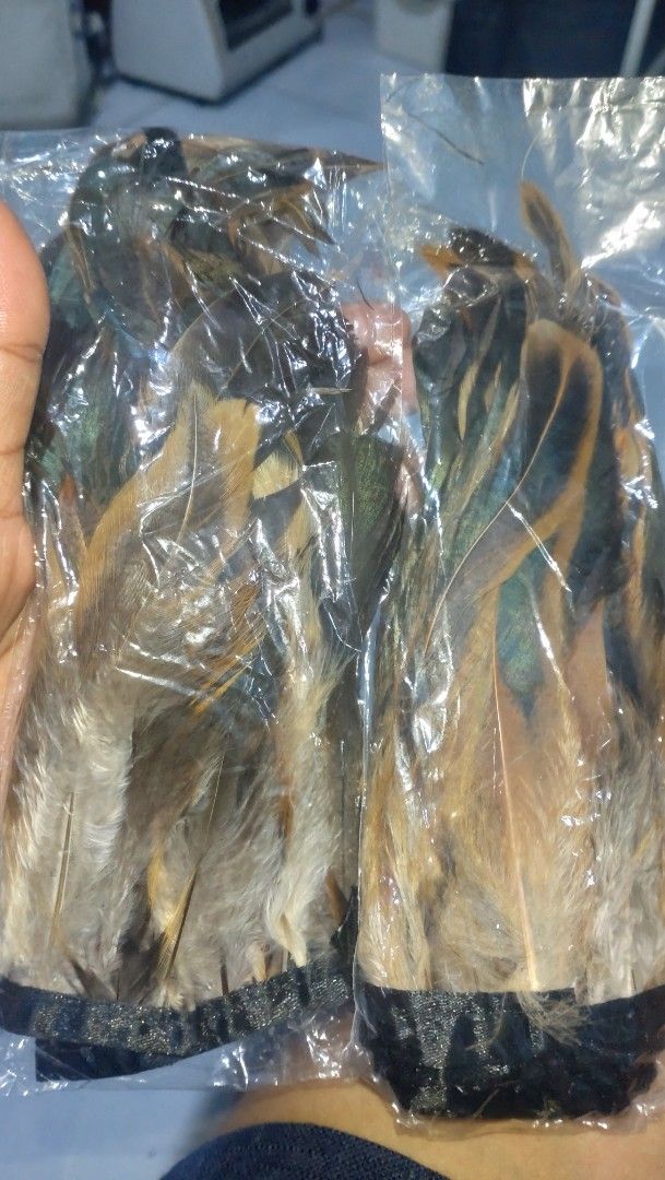 Feather for skirt Costume (Category: Skirts) located in Valenzuela. Submitted by diane.35 (Listing ID 1465483078, Image 3). Description: - Color: Natural brown and black feathers with metallic sheen tips - Material: Fluffy textured feathers on a flexible black elastic waistband - Fit: Comfortable stretch band fits securely around the waist or hips - Condition: Brand new, packed in a clear plastic bag - Perfect for: Parties, festivals, cosplay, an