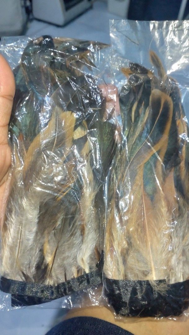 Feather for skirt Costume (Category: Skirts) located in Valenzuela. Submitted by diane.35 (Listing ID 1465483078, Image 2). Description: - Color: Natural brown and black feathers with metallic sheen tips - Material: Fluffy textured feathers on a flexible black elastic waistband - Fit: Comfortable stretch band fits securely around the waist or hips - Condition: Brand new, packed in a clear plastic bag - Perfect for: Parties, festivals, cosplay, an