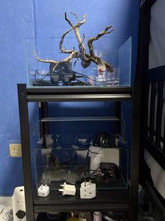 (Category: ) located in . Submitted by le00.oo (Listing ID 1464909957, Image 1). Description: .