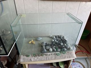 (Category: ) located in . Submitted by noahkarim (Listing ID 1465502193, Image 1). Description: .