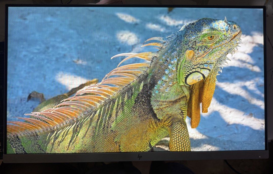 HP 27” Frameless IPS Monitor (Category: Desktops) located in Olongapo. Submitted by danielle.czarina901 (Listing ID 1465424674, Image 2). Description: Screen: 27 inch IPS Resolution: 1920 x 1080 (Full HD) Refresh rate: 60 Hz Brightness: 250 nits Color: 94% sRGB Viewing angle: 178° Ports: HDMI 1.4, DisplayPort 1.2, VGA, 3× USB 3.0 Features: Anti-glare, low blue light, flicker-free No Issues 🚫 Free Delivery Subic Bay & Olongapo Area 🚚.
