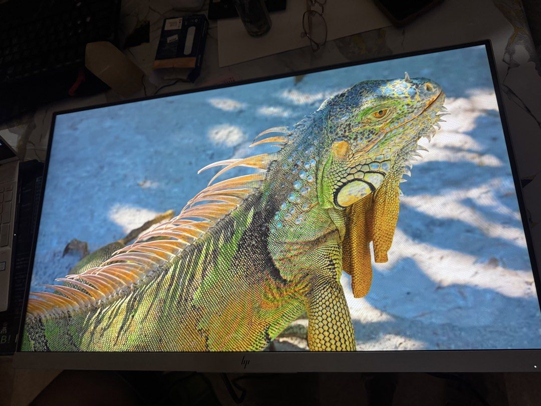 HP 27” Frameless IPS Monitor (Category: Desktops) located in Olongapo. Submitted by danielle.czarina901 (Listing ID 1465424674, Image 3). Description: Screen: 27 inch IPS Resolution: 1920 x 1080 (Full HD) Refresh rate: 60 Hz Brightness: 250 nits Color: 94% sRGB Viewing angle: 178° Ports: HDMI 1.4, DisplayPort 1.2, VGA, 3× USB 3.0 Features: Anti-glare, low blue light, flicker-free No Issues 🚫 Free Delivery Subic Bay & Olongapo Area 🚚.