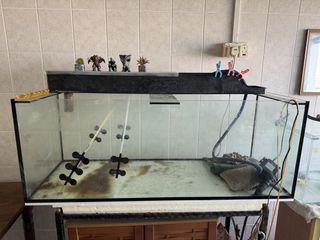 (Category: ) located in . Submitted by noahkarim (Listing ID 1465502194, Image 1). Description: .