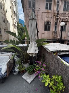 （分類：）位於 。 由 danielero00359 提交（商品編號 1465440692，圖片 1）。簡介： 。