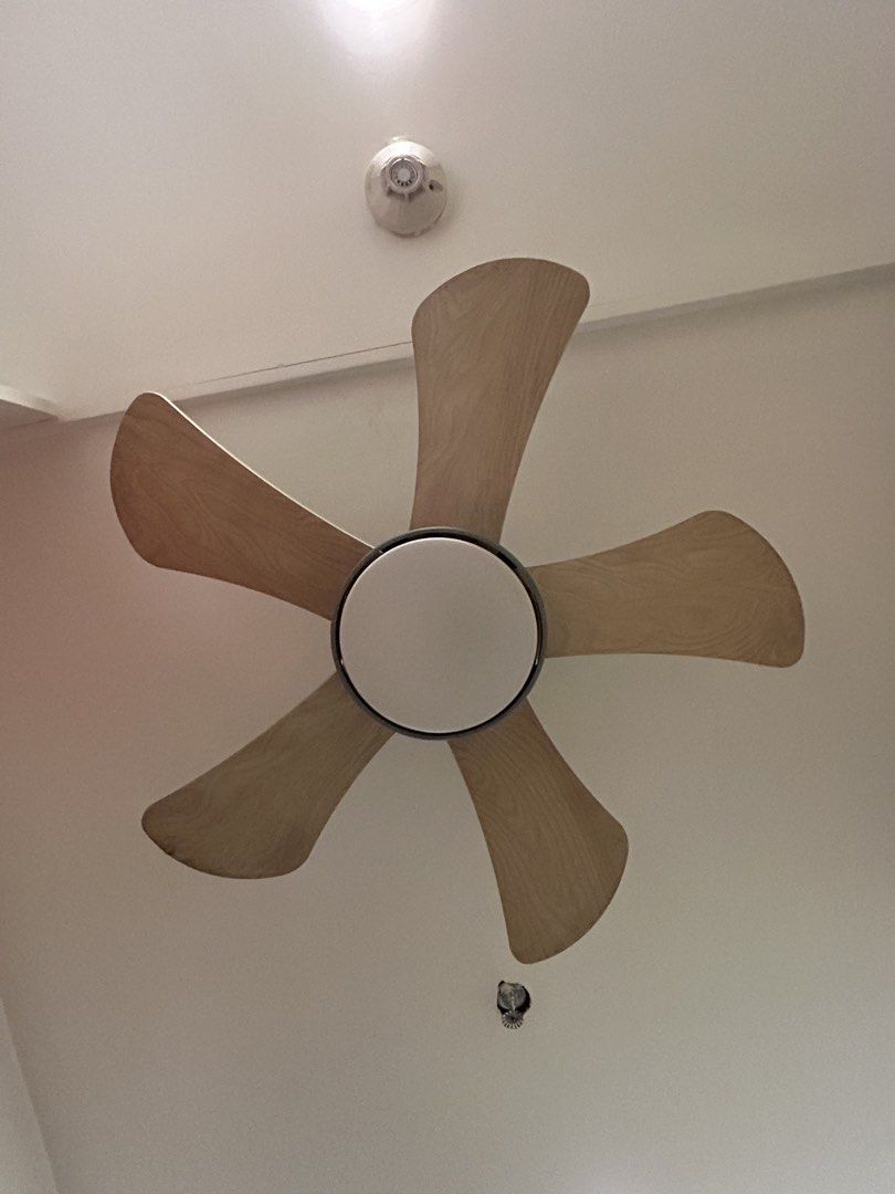 Modern 5-Blade Wooden Ceiling Fan with Light (Category: Fans) located in Quezon City. Submitted by ccr26 (Listing ID 1465483719, Image 1). Description: TWO PIECES AVAILABLE - Elegant 5-blade ceiling fan with a built-in light fixture - Natural wood finish complements modern and minimalist interiors - Operates quietly while providing efficient airflow - Easy to mount on standard white ceilings - Condition: Excellent / Well-maintained.